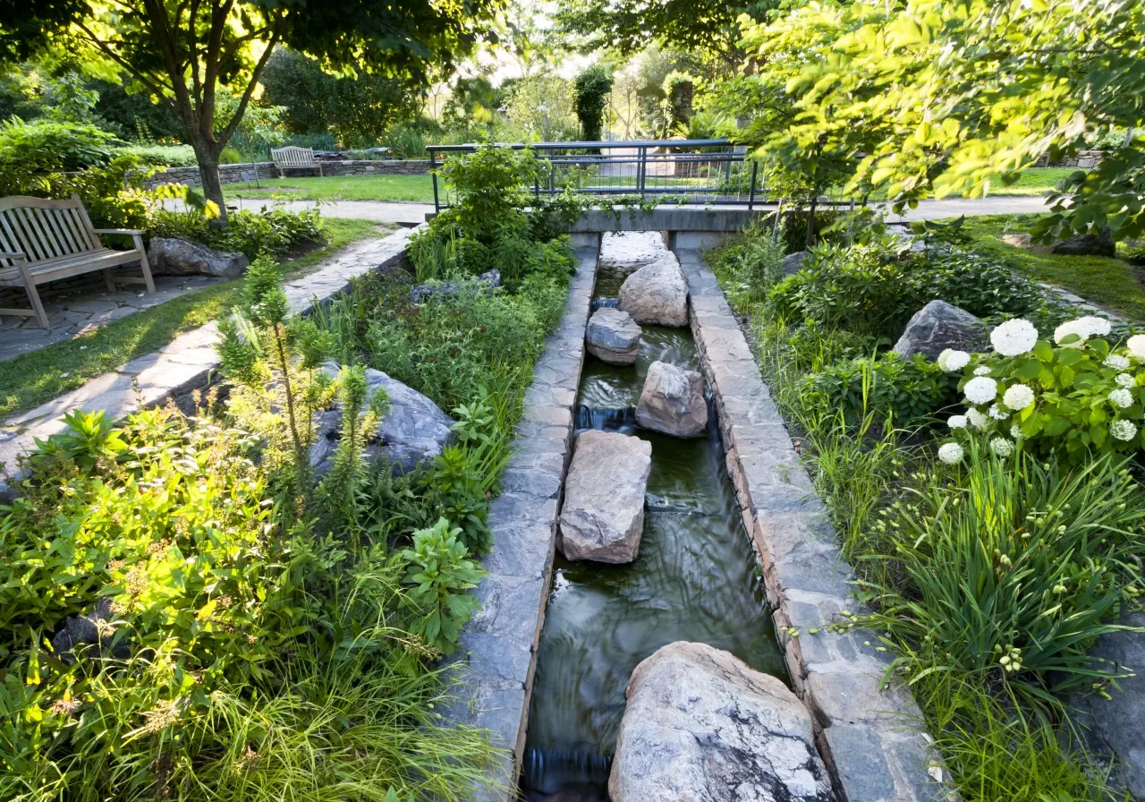 A shaded stream garden at the Arboretum